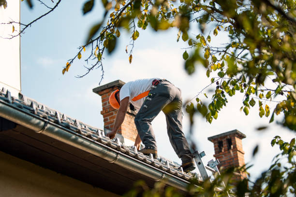 Best Slate Roofing Contractor  in Reed City, MI