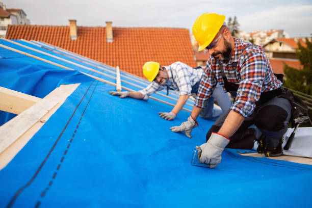 Best Best Roofing Contractors  in Reed City, MI