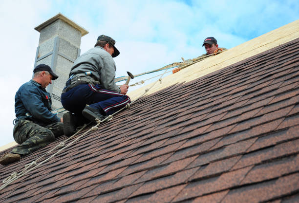 Best Residential Roofing Contractor  in Reed City, MI