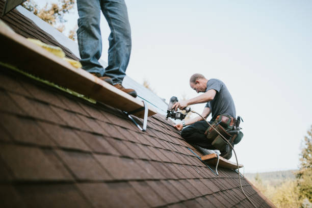 Best Roof Leak Repair  in Reed City, MI